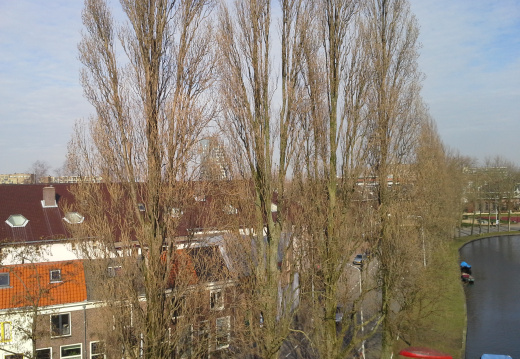 20140306 142432 (69 visits) 20140306 142432