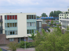 OBLste0006