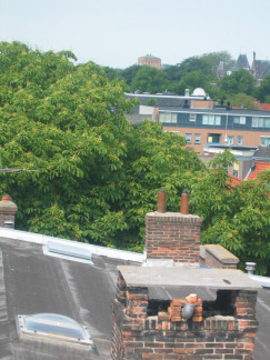 2004 07 Node Plantsoen 06