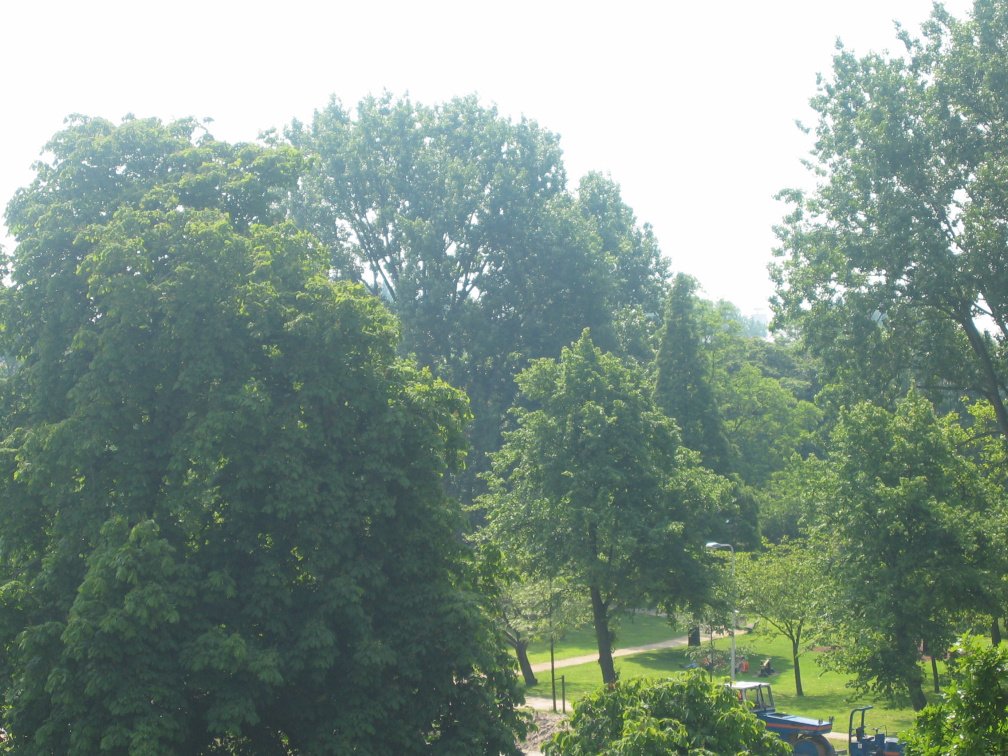 2004 07 Node Plantsoen 52