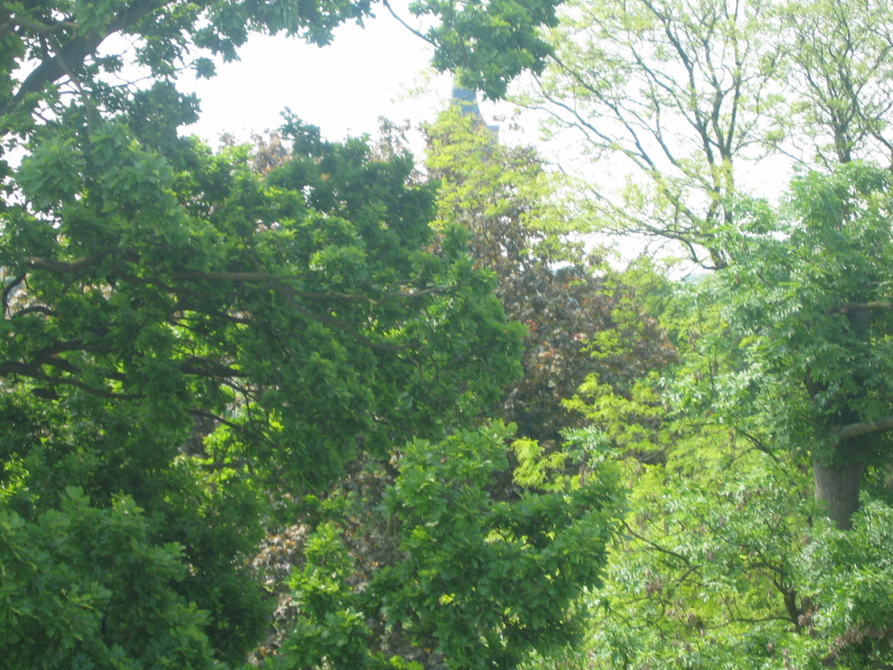 2004 07 Node Plantsoen 55