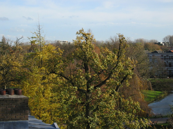Plantsoen2 18