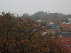 plantsoen 18