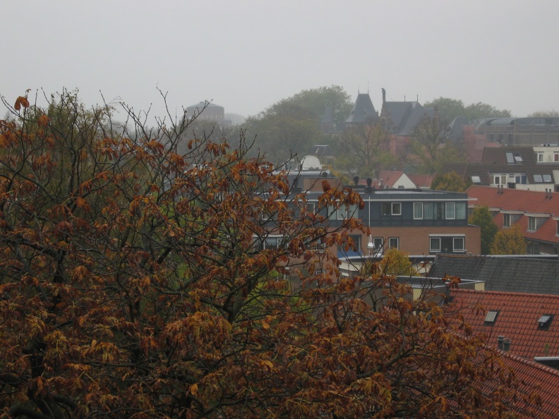 plantsoen 18