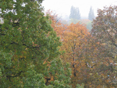 plantsoen 35