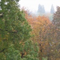 plantsoen 35