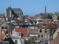 plantsoen 905