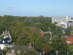 IMG 1612