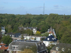 IMG 1613