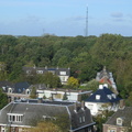 IMG 1613