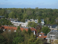 IMG 1614