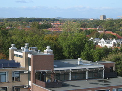 IMG 1616
