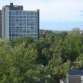 IMG 1618