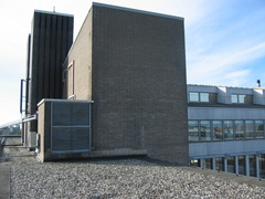 IMG 1624