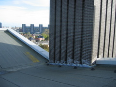 IMG 1625