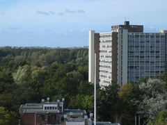 IMG 1629
