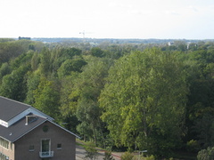 IMG 1632