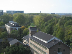 IMG 1633