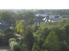 IMG 1635