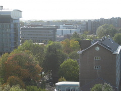 IMG 1637
