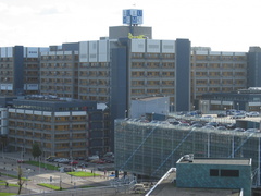 IMG 1640