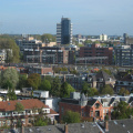 IMG 1648