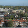 IMG 1649