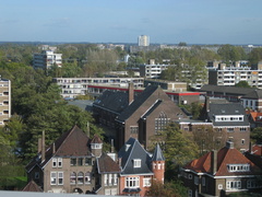 IMG 1650