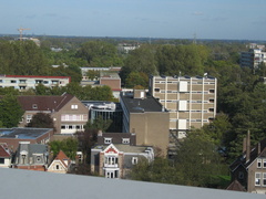 IMG 1651