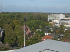 IMG 1653