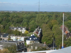 IMG 1654