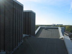 IMG 1660