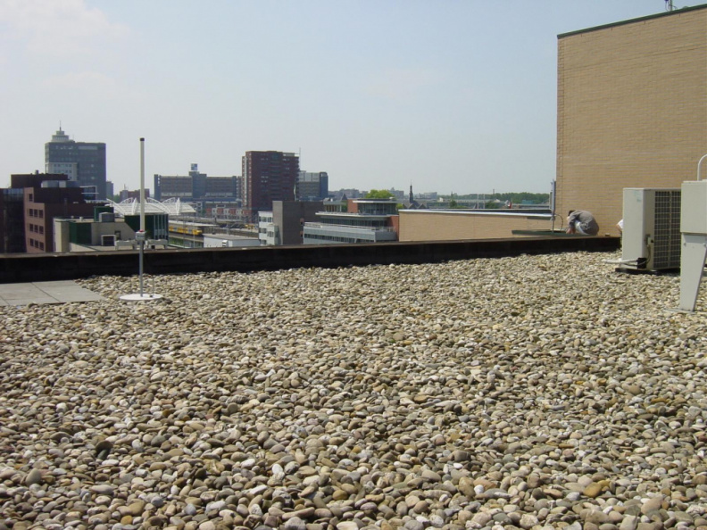 dsc00093
