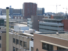 rabo maart 20040008