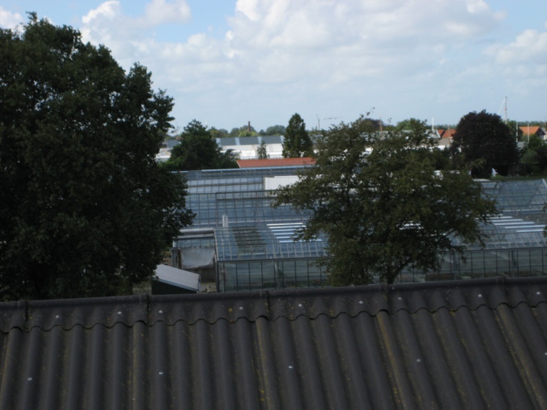 IMG 4393