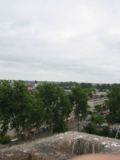 img 0526
