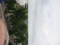 img 0527