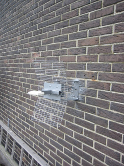 img 0539