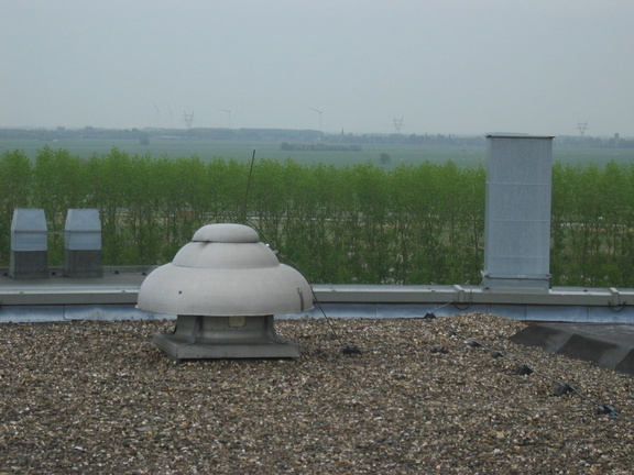 Rijnlands panorama22