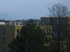 Robijn1 2