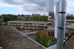 Robijn3 007