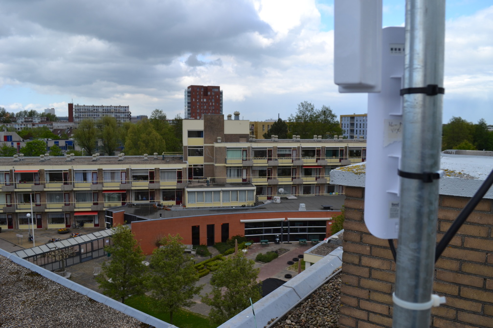 Robijn3 008