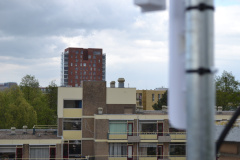 Robijn3 016
