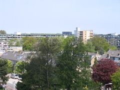 img 1373