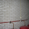 robijn0003