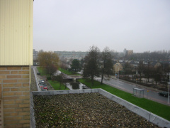 img 1400