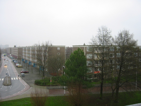 img 1403