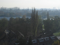 Roomburgh 43