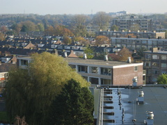 Roomburgh 46