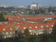Roomburgh 53